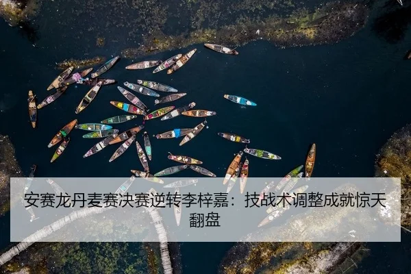 an-sai-long-dan-mai-sai-jue-sai-ni-zhuan-li-zi-jia-ji-zhan-shu-tiao-zheng-cheng-jiu-jing-tian-fan-pan-2-701.jpg